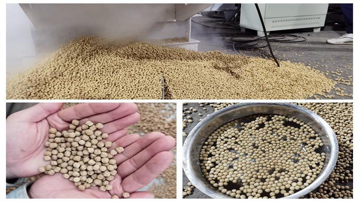 <h3>In Nigeria Fish Feed Pellet Machine Costs, Buying, & Invest</h3>
